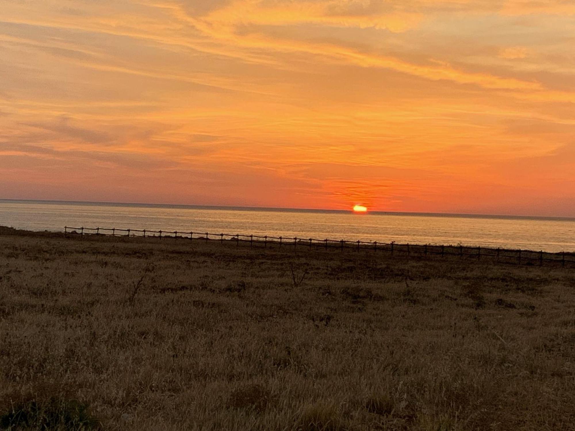 L'Oasi Una Pineta Sul Mare Custonaci Exterior foto